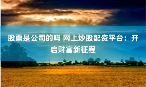 股票是公司的吗 网上炒股配资平台：开启财富新征程
