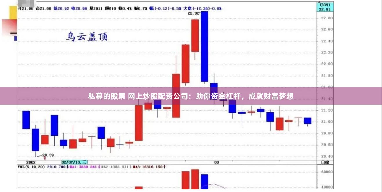 私募的股票 网上炒股配资公司：助你资金杠杆，成就财富梦想