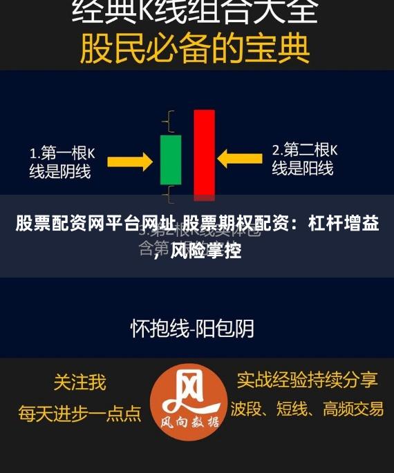 股票配资网平台网址 股票期权配资：杠杆增益，风险掌控