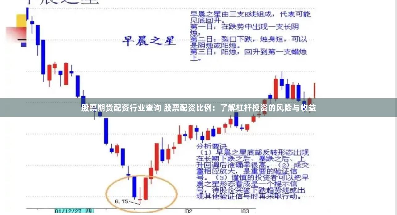 股票期货配资行业查询 股票配资比例：了解杠杆投资的风险与收益