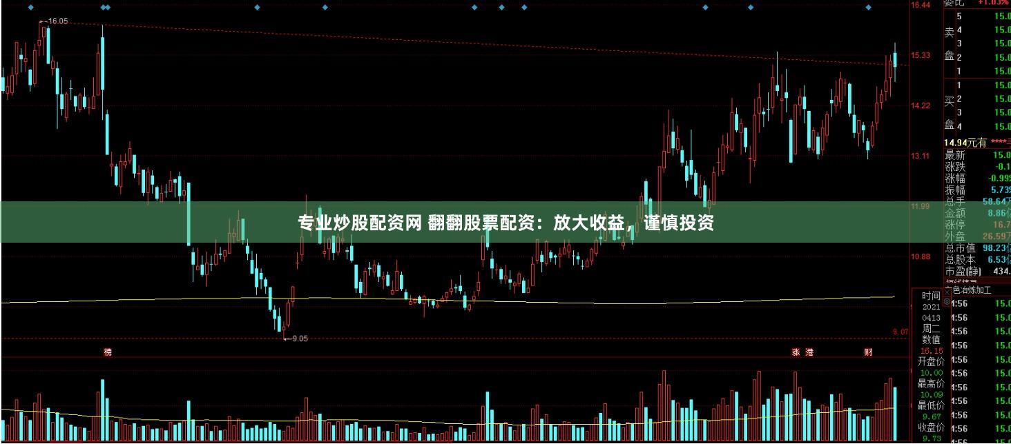 专业炒股配资网 翻翻股票配资：放大收益，谨慎投资