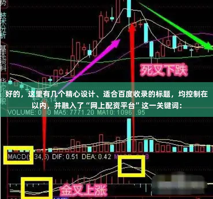 好的，这里有几个精心设计、适合百度收录的标题，均控制在以内，并融入了“网上配资平台”这一关键词：