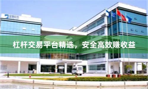 杠杆交易平台精选，安全高效赚收益