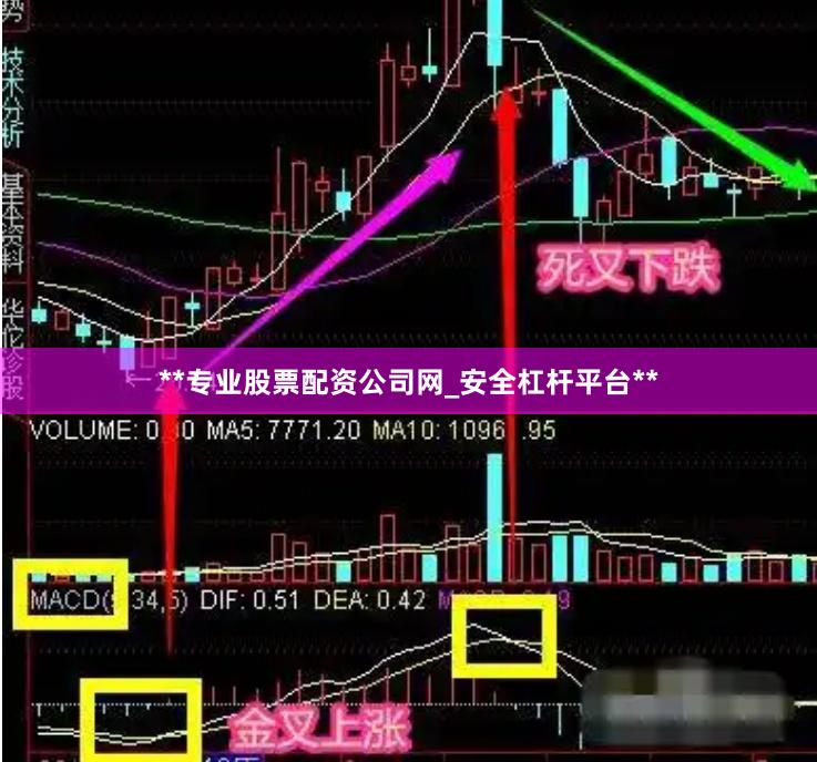 **专业股票配资公司网_安全杠杆平台**